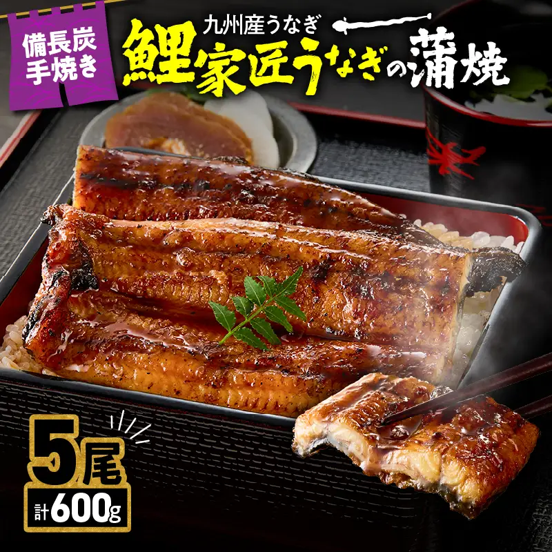 【 土用の丑の日特集 】 2900 九州産 卵うなぎ 備長炭手焼 うなぎ の 蒲焼 5尾 計600g KN029-005-04 魚 鰻