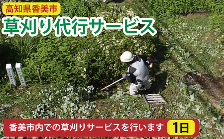 【22,000円分利用券】高知県香美市 草刈り代行サービス 1日 草刈り 草刈 くさかり 草引き 除草作業 除草 お手入れ 代行 サービス