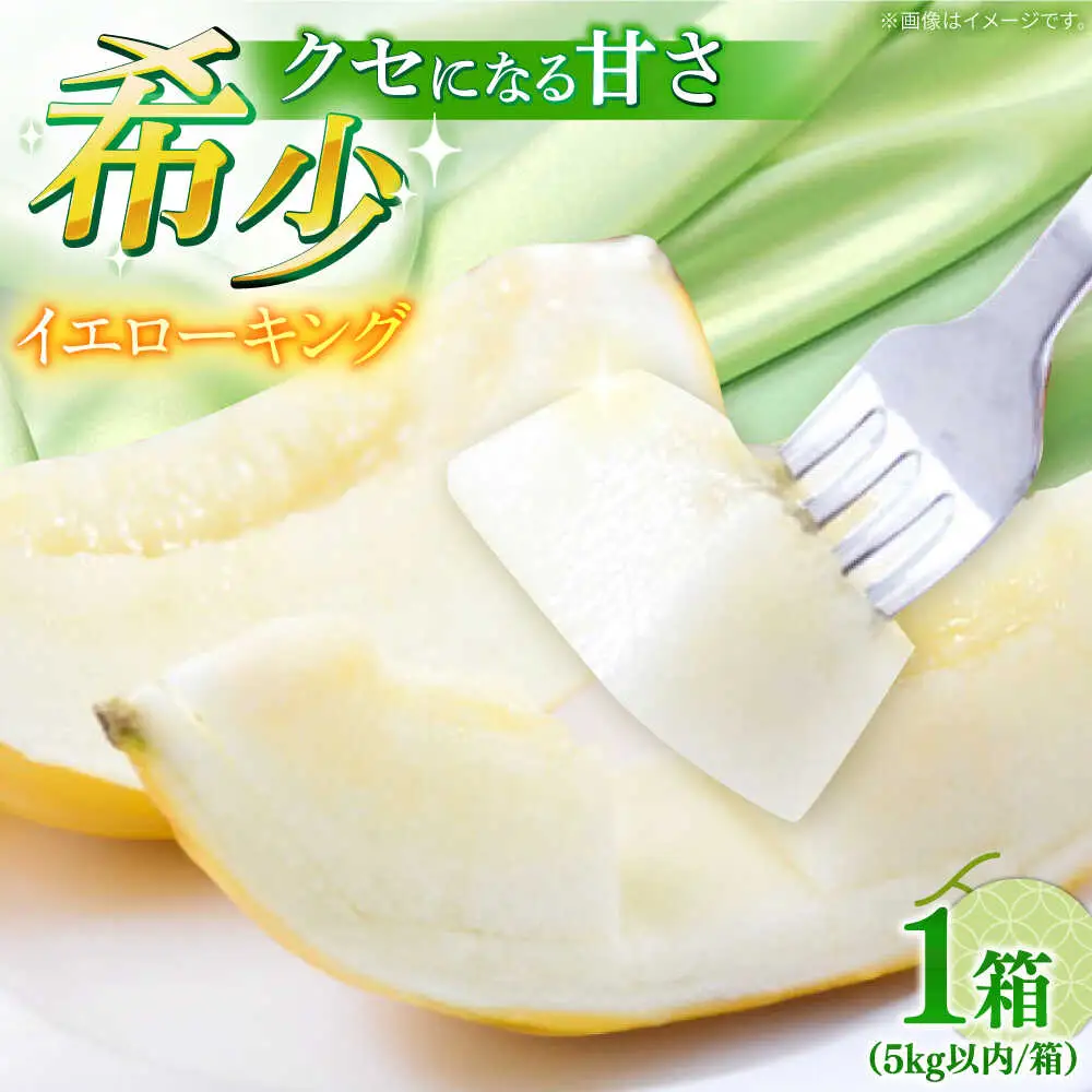 【2027年5月-発送】メロン イエローキング 1箱 5kg以内（3?6玉） / メロン めろん フルーツ 果物 / 南島原市 / 南島原果物屋[SCV039]