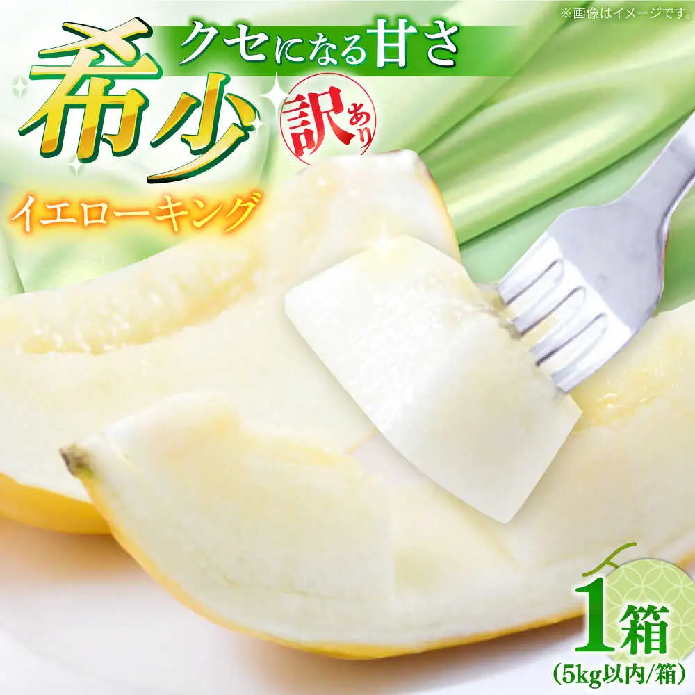 【2027年5月-発送】訳あり メロン イエローキング 1箱 5kg以内（3?6玉） / メロン めろん フルーツ 果物 / 南島原市 / 南島原果物屋[SCV042]