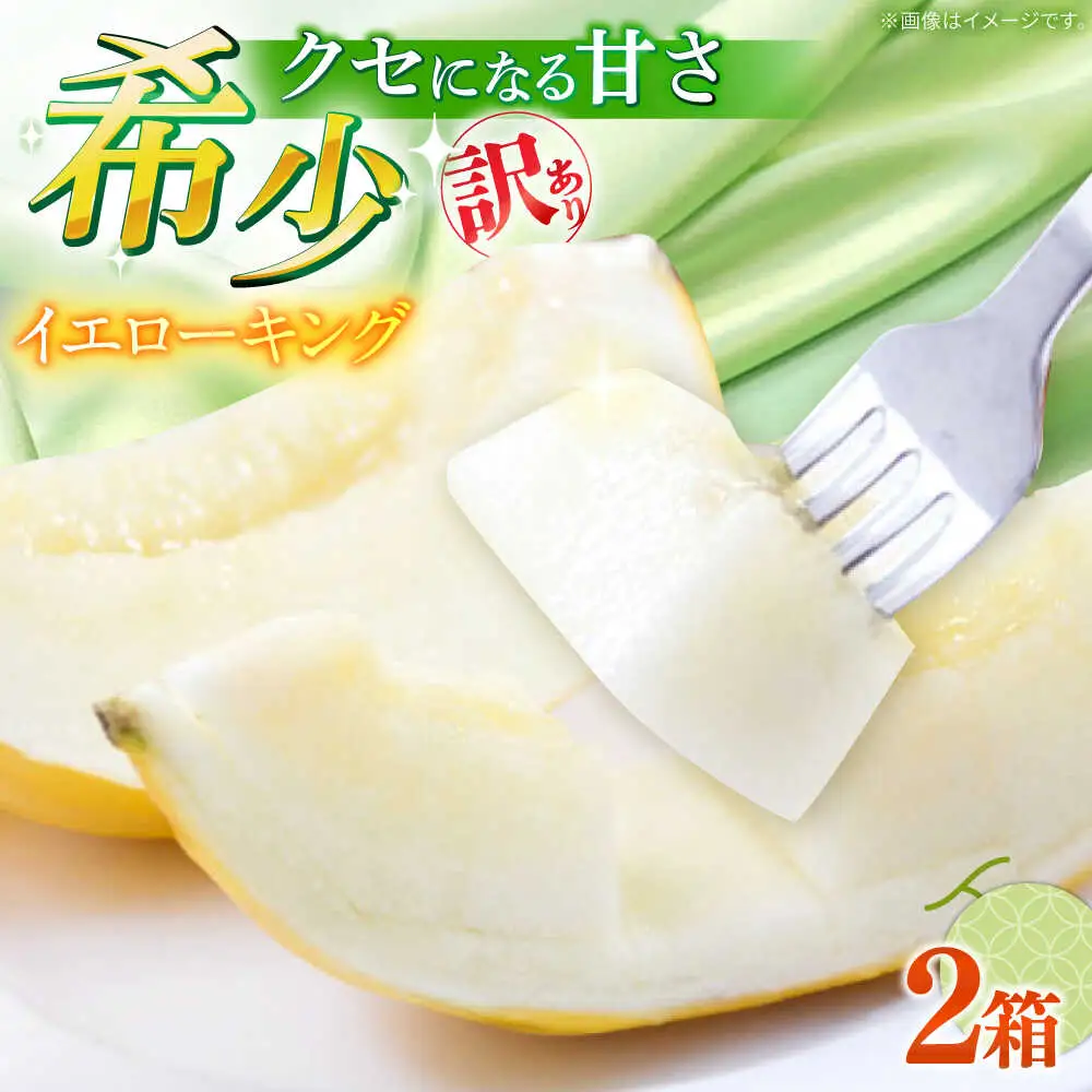 【2027年5月-発送】訳あり メロン イエローキング 2箱（1箱 3?6玉） / メロン めろん フルーツ 果物 / 南島原市 / 南島原果物屋[SCV043]