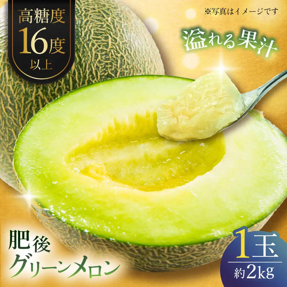 【先行予約】肥後グリーンメロン 約2kg(1玉入)  メロン グリーンメロン フルーツ 熊本県産 【日本フルーツ株式会社】 [ZFJ005]