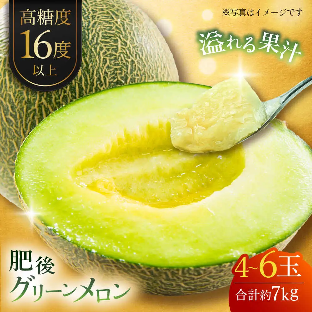 【先行予約】肥後グリーンメロン 約7kg(4?6玉入) メロン グリーンメロン フルーツ 熊本県産 【日本フルーツ株式会社】 [ZFJ006]