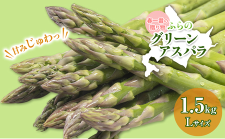 【令和9年産】アスパラガス グリーンアスパラ 1.5kg Lサイズ アスパラ 野菜 北海道 上富良野町 ふらの農業協同組合