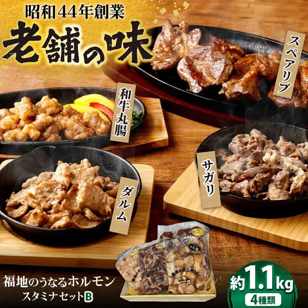 スタミナセットB  4種類(豚スペアリブ・和牛丸腸・豚サガリ・豚ダルム) 計1,130g 日田市 豚肉 [ARAY002]