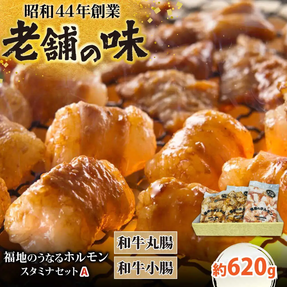 スタミナセットA　（和牛丸腸・小腸）計620g 日田市 ホルモン[ARAY003]