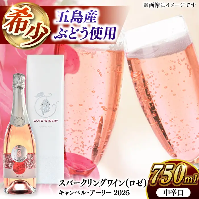 スパークリングワイン キャンベル・アーリー 2025 家飲み 酒 お酒 ワイン 五島市/五島ワイナリー[PAG031]