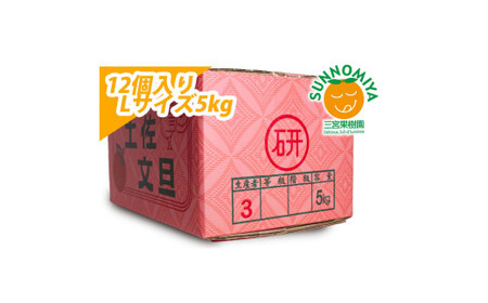 【先行予約】三宮果樹園の土佐文旦 ご家庭用Lサイズ 5kg〈2027年2月14日から2027年3月15日発送〉高知県 土佐市【三宮果樹園】[BQAP008]