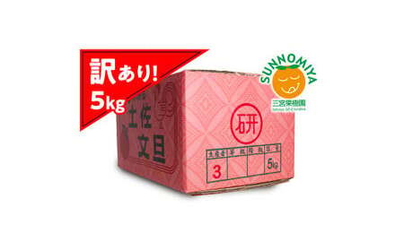 【先行予約】三宮果樹園の土佐文旦 訳あり 5kg〈2027年2月14日から2027年3月15日発送〉高知県 土佐市【三宮果樹園】[BQAP005]