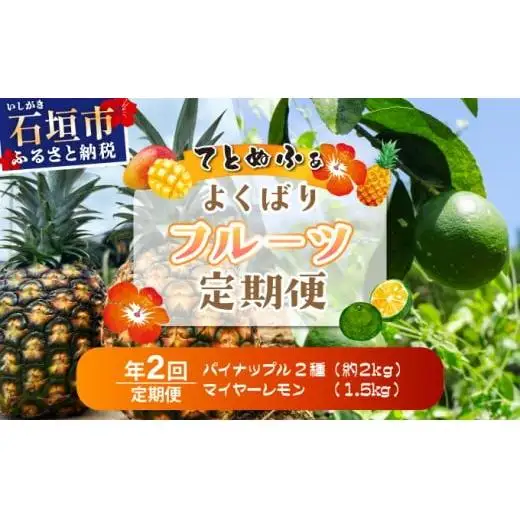 《年2回発送》島のおいしいを贅沢に！パイナップル2種食べ比べと青切りマイヤーレモンのよくばり定期便！