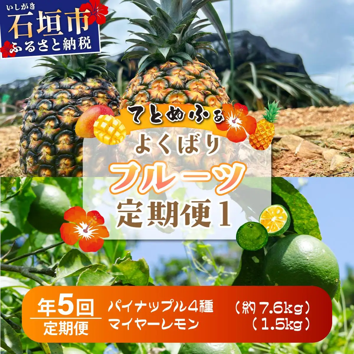 《年5回発送》パイナップル好きにおすすめ！大満足のパイナップル4品種＆マイヤーレモン定期便《2027年4月以降発送》TF-068-t05
