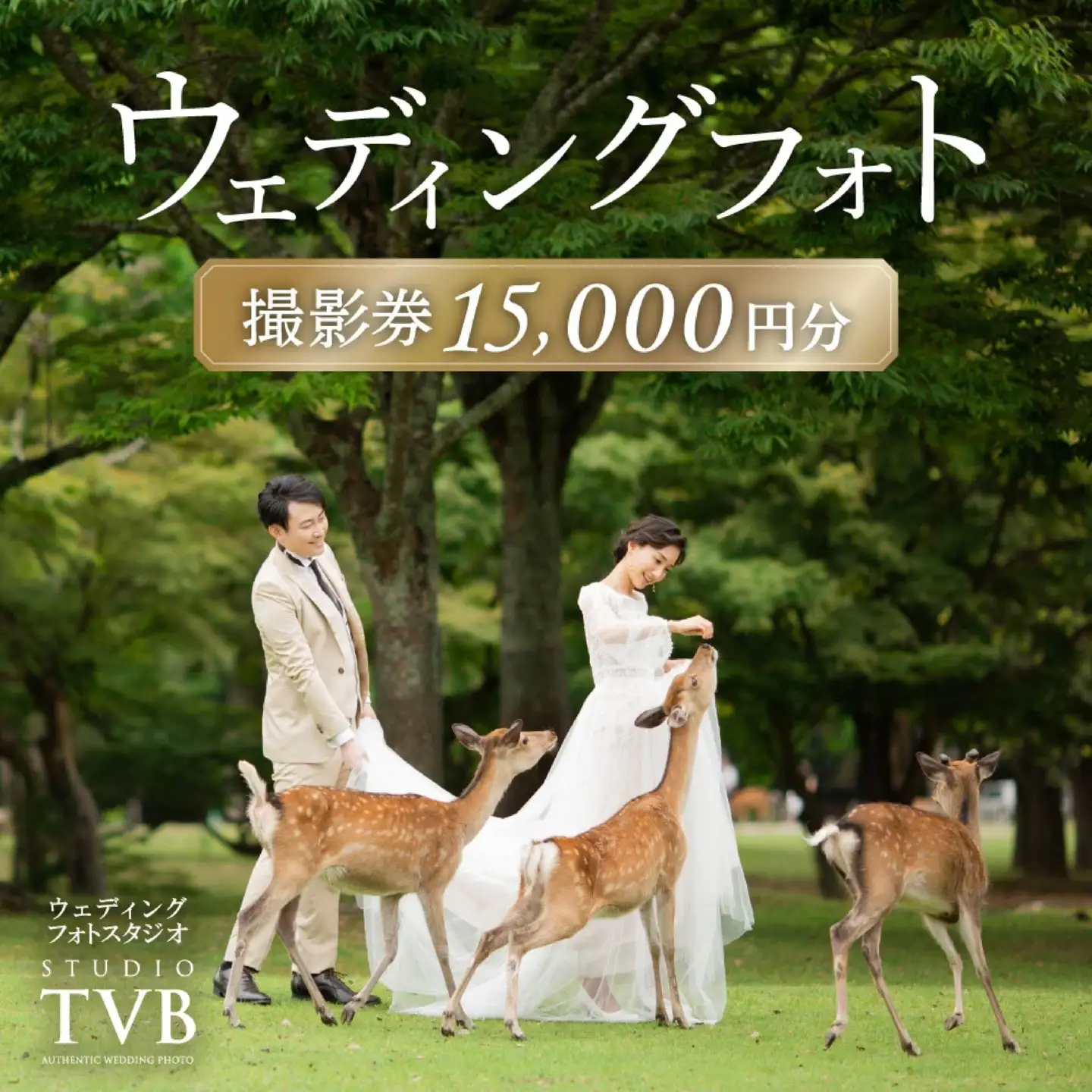 ウェディングフォト15000円分撮影券 【スタジオTVB奈良店】 50-021