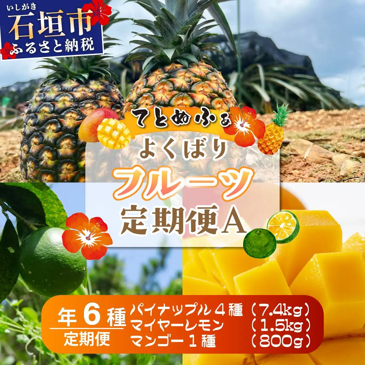 《年6回発送》島のおいしいを贅沢に！大満足のパイナップル4種とマンゴー、マイヤーレモンの定期便