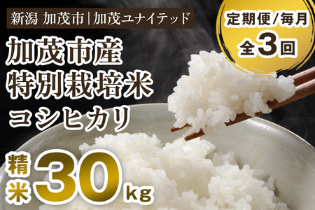 【令和8年産新米先行予約】加茂市産 特別栽培米 コシヒカリ 精米30kg（10kg×3袋） 《10月上旬～順次出荷》