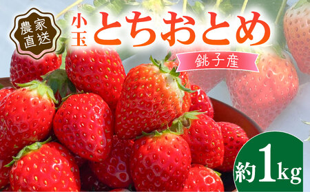 先行予約 いちご とちおとめ 約250g×4パック 計1kg 小玉 いちご