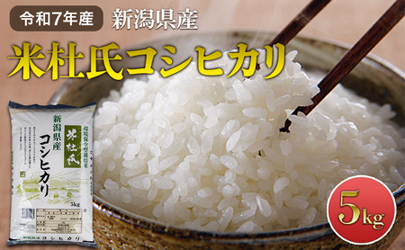 令和7年産 新潟米杜氏コシヒカリ5kg