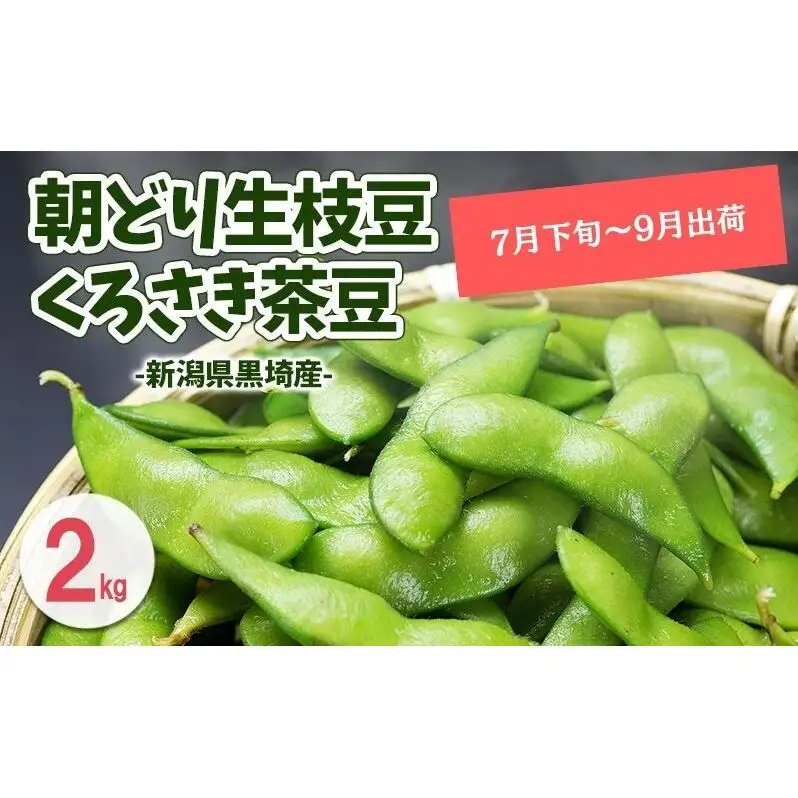 【7月下旬～～発送開始】枝豆 2kg 朝採り新潟県黒埼産 枝豆