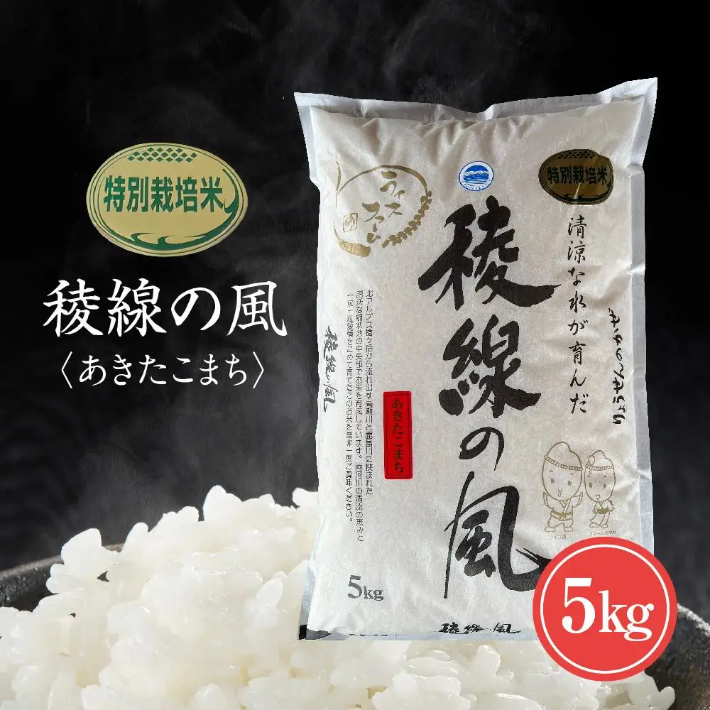 特別栽培米　稜線の風（あきたこまち） 5kg | 米 新米 長野 信州