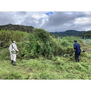 チケット 代行サービス 実家のお困りごと〈軽作業〉 2名1日プラン ( 筑北村内 ) おてこ衆| 筑北村 生活支援サービス 軽作業対応 清掃作業 草刈対応 空き家管理 墓地清掃 庭手入れ 地域支援 日常サポート 家事支援 人気 おすすめ サービス利用 作業代行 地域貢献 生活支援 地元対応 利用券 お取り寄せ 通販 送料無料 ふるさと納税