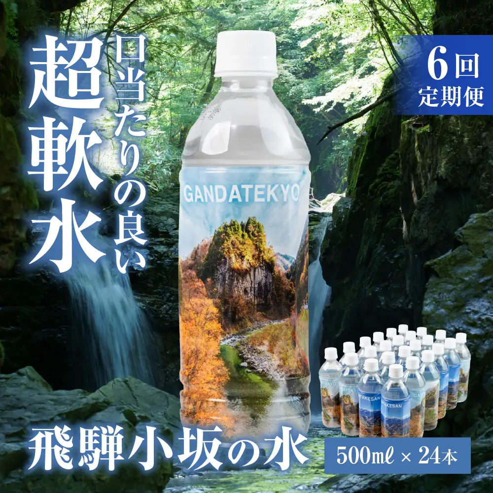 【先行予約2026年11月から発送開始】【定期便 6回】飛騨小坂の水（ナチュラルミネラルウォーター）500ml×24本（1箱24本入り）× 6カ月【110-B】