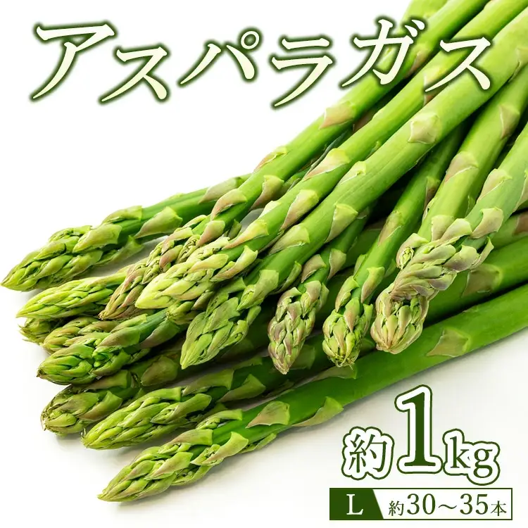 60-B アスパラガスLサイズ1kg（約30～35本） ※2027年4月～発送