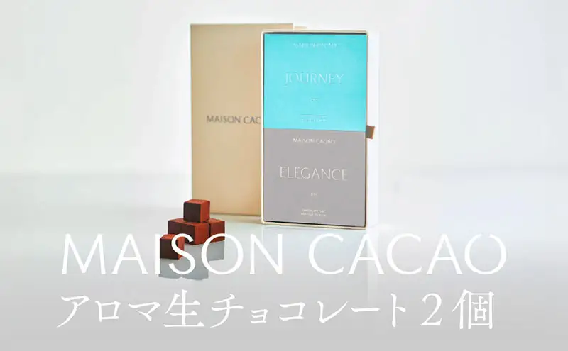 チョコレート 生チョコ メゾンカカオ 2種セット チョコレート