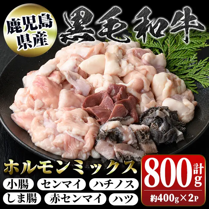 【P01001】鹿児島県産 黒毛和牛 ホルモン ミックス 計約800g 約400g×2P 牛肉 ホルモン モツ 冷凍 焼肉 もつ鍋 煮込み【新村畜産】