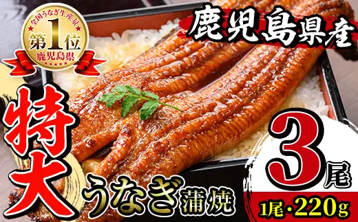鹿児島県産 うなぎ蒲焼 特大 サイズ 3尾 （約220g×3・計約660g）【薩摩川内鰻】 i1078-B