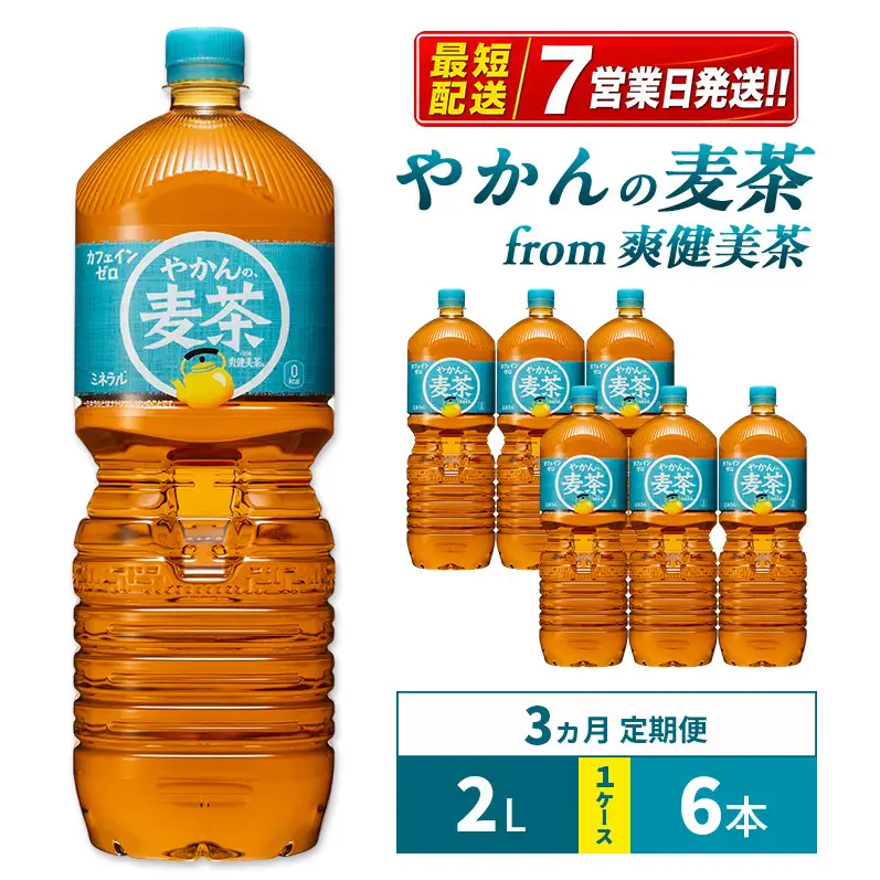 爽健美茶 やかん 2L 定期便 3ヶ月 麦茶 コカ・コーラ 