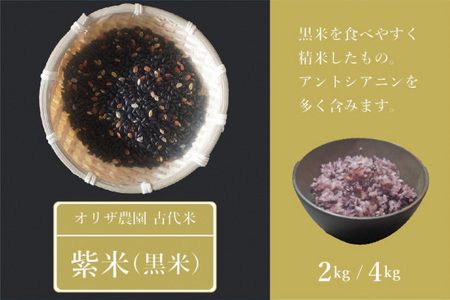 自然栽培の古代米「紫米(黒米)」2kg 雑穀のように白米に混ぜ、美味しく簡単に栄養をプラス【長野県信濃町ふるさと納税／オリザ農園】