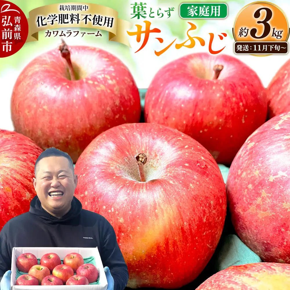 りんご 葉とらず サンふじ 家庭用 約3kg【11月下旬～発送】りんご