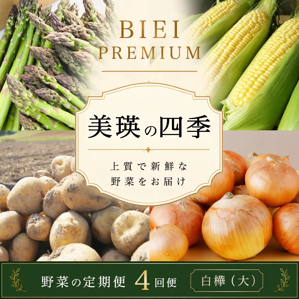 野菜セット 【令和9年産予約受付】 4回 定期便 美瑛の四季 白樺（大） 野菜詰め合わせ 