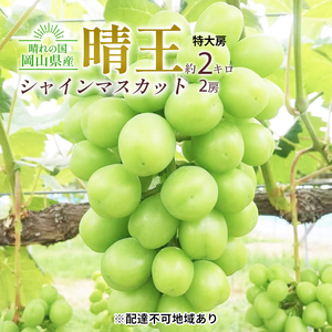 ぶどう 2026年 先行予約 シャイン マスカット 晴王 特大房 2房入り 合計約2kg  岡山県産 シャインマスカット