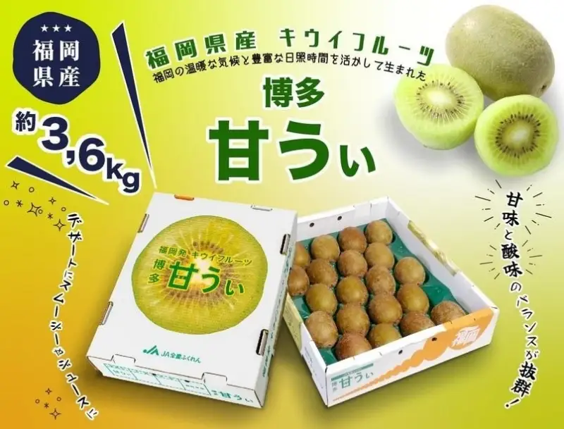 ＜2026年発送分・先行予約＞博多「甘うい」の贅沢果実 約3.6kg | フルーツ 果物 くだもの 食品 人気 おすすめ 送料無料