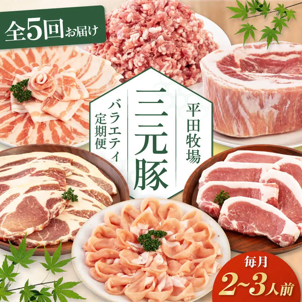 【全5回定期便】平田牧場 バラエティ定期便 2~3人前  豚肉 ロース バラ肉 ステーキ [AJAP126]