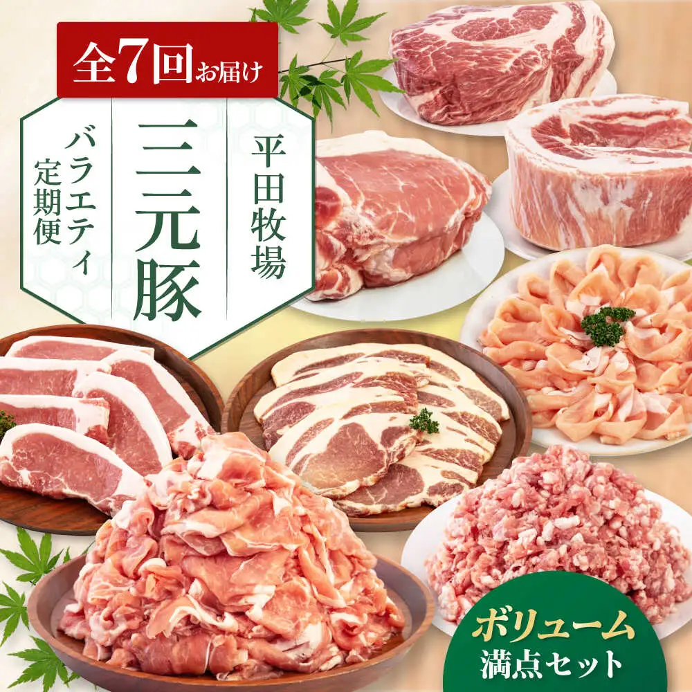 【全7回定期便】 平田牧場 バラエティ定期便  大容量セット  豚肉 ロース バラ肉 ステーキ [AJAP128]