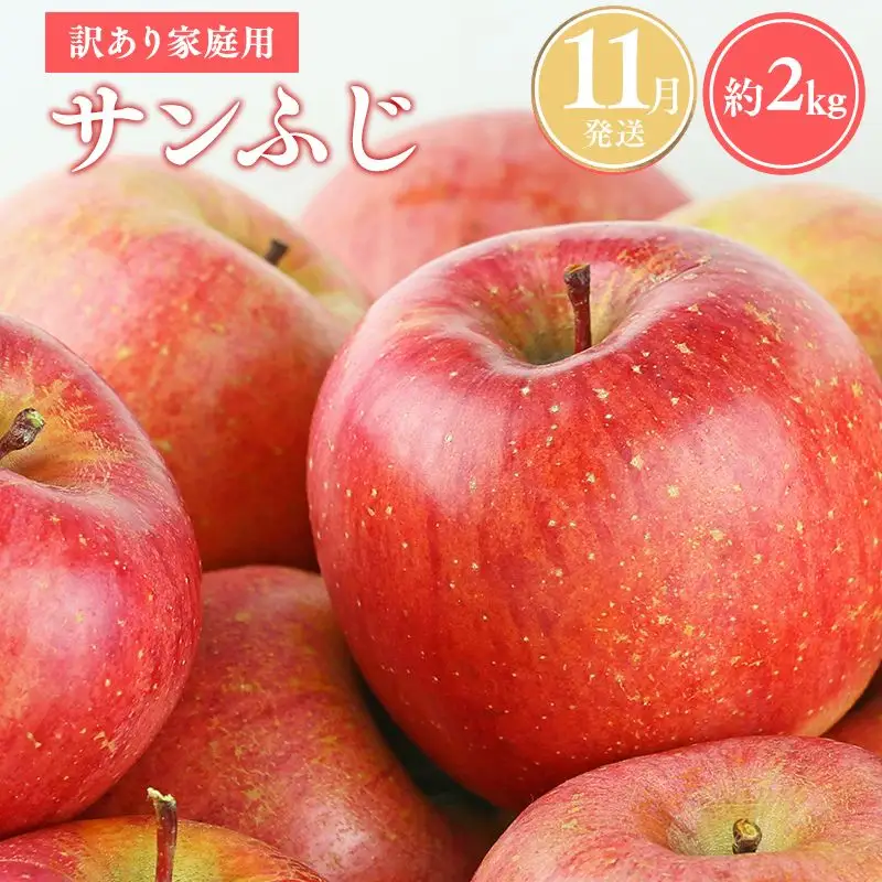 りんご 家庭用 サンふじ 約2kg  [hi-0038-014-11]