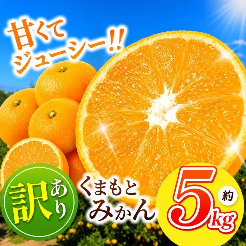 訳あり 熊本県産 温州みかん 約 5kg 