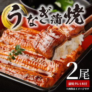 うなぎ蒲焼 2本 角長特製蒲焼タレ 1本 セット 国産 安全 ふっくら うなぎ こだわり 蒲焼き 蒲焼 タレ うな丼 うな重 ひつまぶし う巻き うなむすび 土用 丑の日 水産加工品 魚介 海鮮 海産物 冷凍 和歌山県 湯浅町 お取り寄せ お取り寄せグルメ 送料無料_BC6006