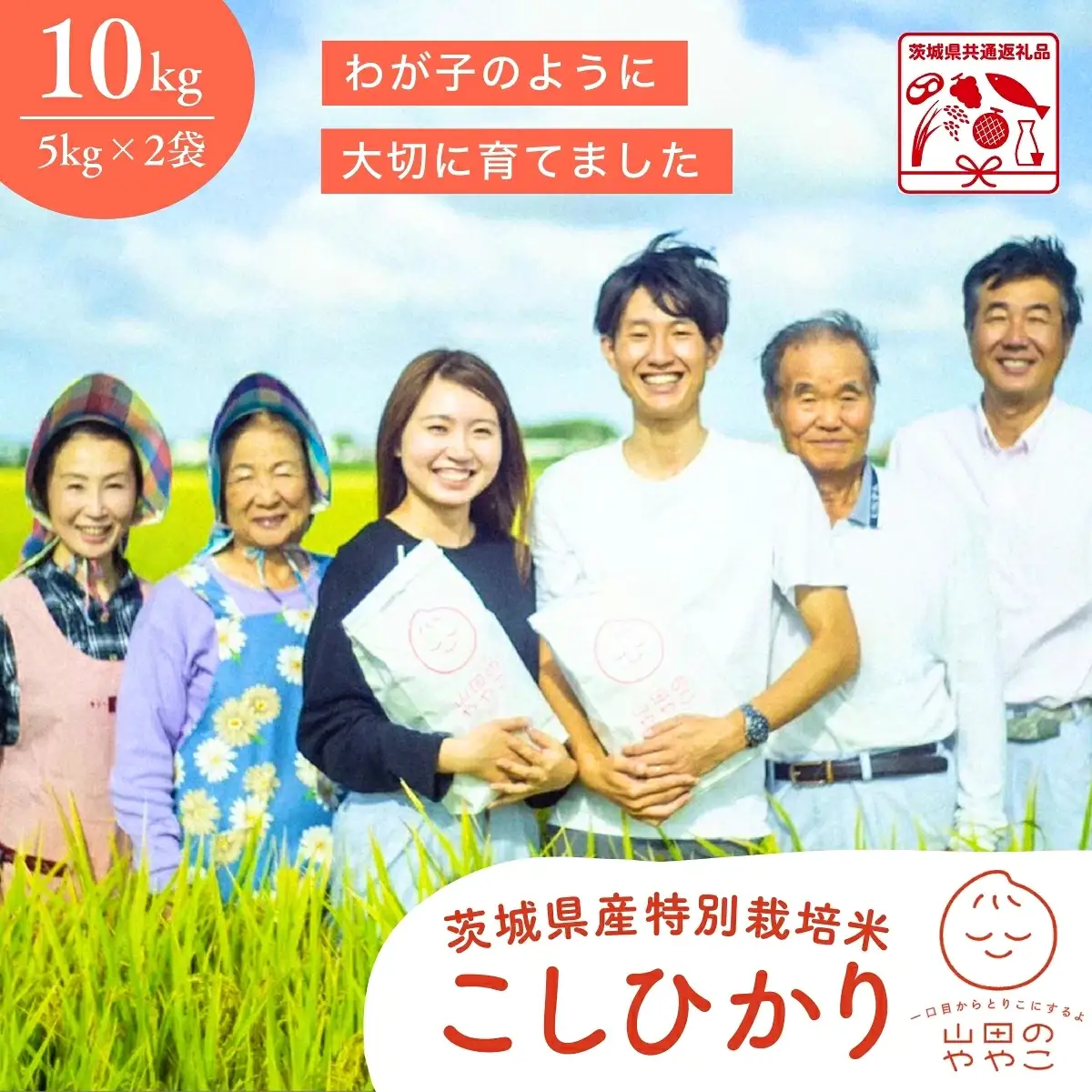 令和8年産新米 特別栽培米 コシヒカリ 山田のややこ 10kg |  コシヒカリ 精米 茨城県 龍ケ崎市   