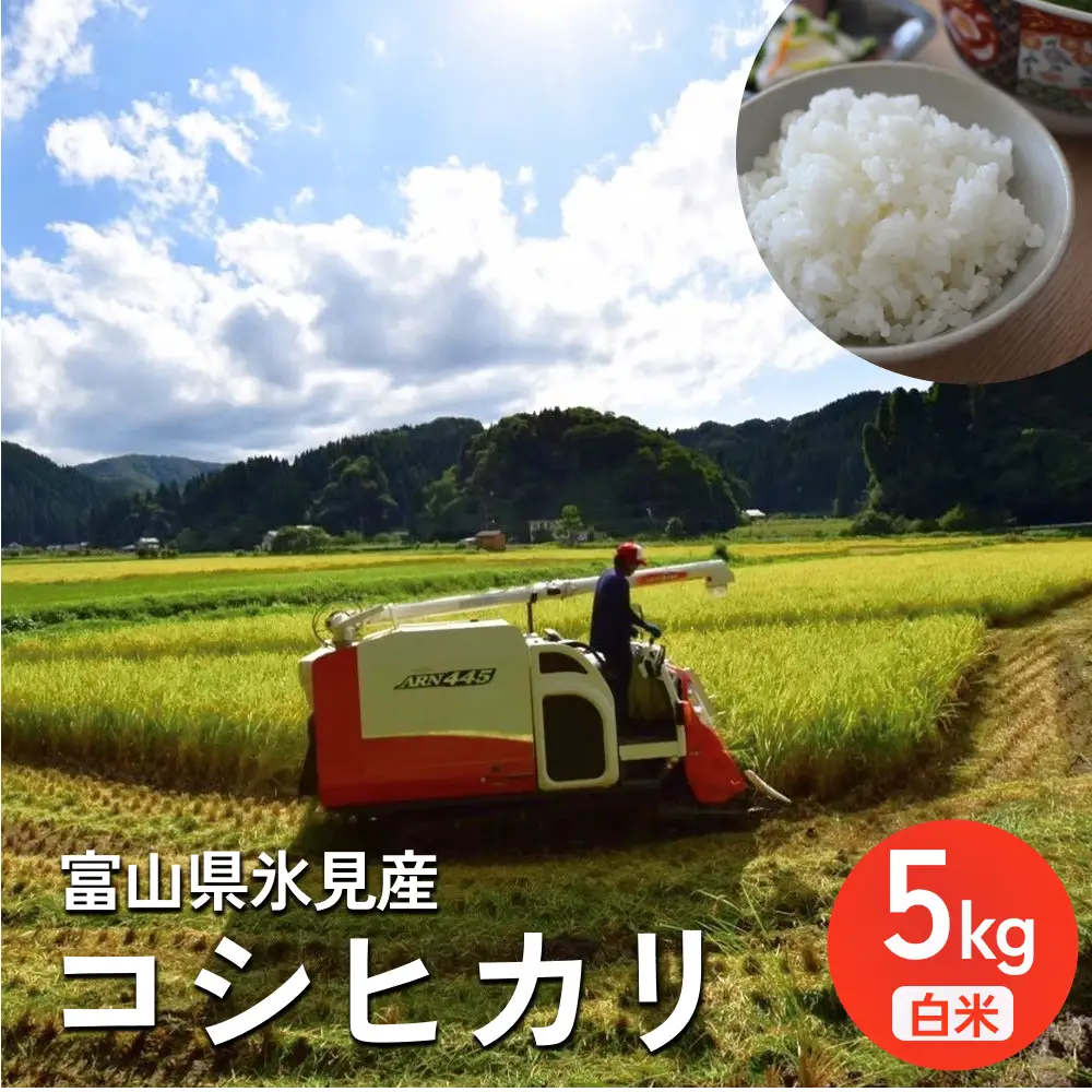 米 令和7年産 富山県氷見産 コシヒカリ 白米 5kg