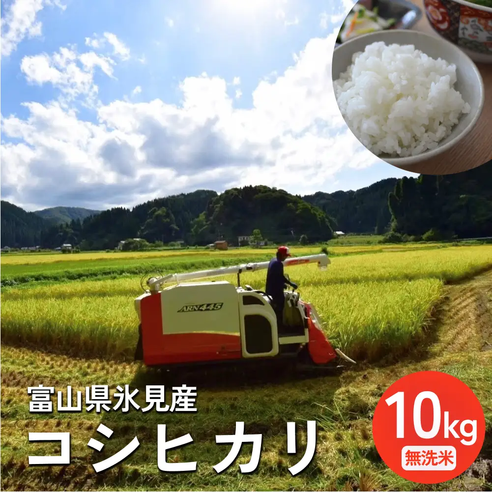 〈無洗米〉 米 令和7年産 富山県氷見産 コシヒカリ 10kg