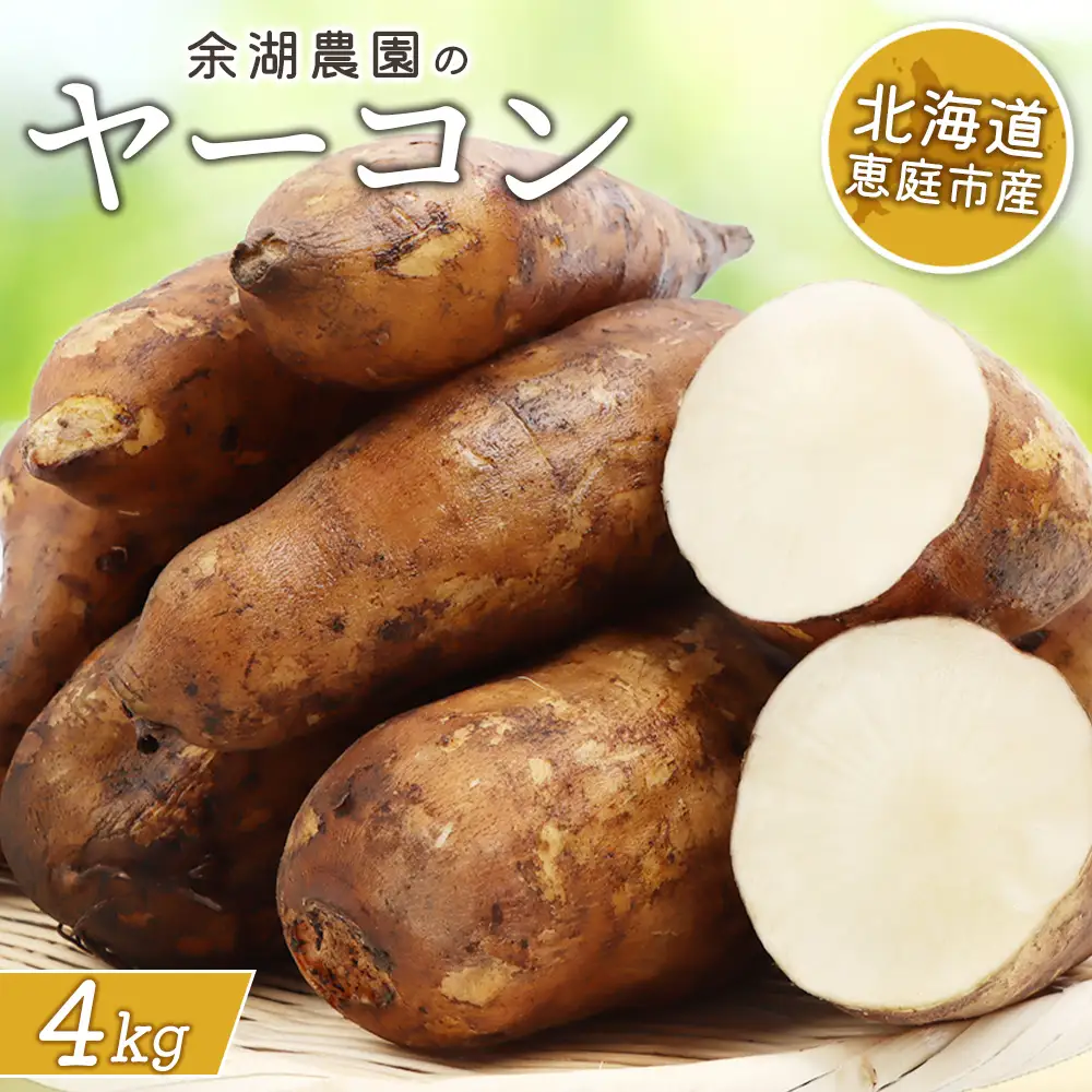 【先行予約】【北海道恵庭市産】余湖農園のヤーコン4kg【31001402】