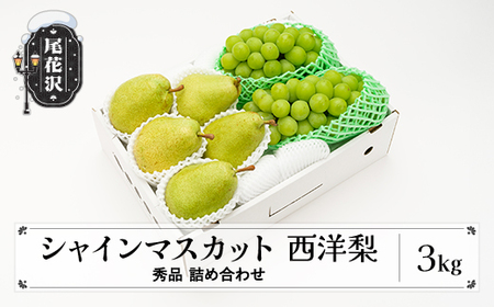 シャインマスカット 西洋梨 秀品 詰め合わせ 計3kg 令和8年産 ns-fssyx3