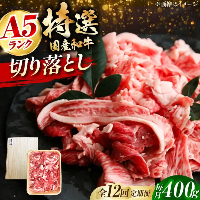 【全12回定期便】国産和牛切落し 400ｇ[AOAI048]切り落とし