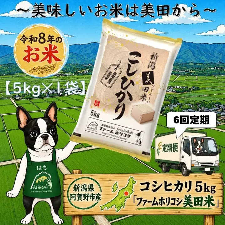 【令和8年産新米】【6ヶ月定期便】阿賀野市産 コシヒカリ 「ファームホリコシ美田米」 5kg×6回  白米 精米 新潟県 米 こめ コメ 10月上旬頃より発送開始予定 3H07072