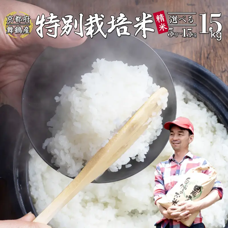 令和8年度産 新米 棚田米 15kg 精米 コシヒカリ 特別栽培米 7割削減 白米