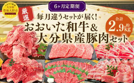 173-1286 【6ヶ月定期便】 毎月違うセットが届く！おおいた和牛＆大分県産豚肉セット 合計約2.9kg 1回あたり約400g～約600g 牛肉 豚肉 おおいた和牛 食べ比べ セット ソース付き ロース 肩ロース 切落し バラ 豚バラ 赤身 ステーキ 焼肉 スライス BBQ バーベキュー お取り寄せ グルメ 大分県産