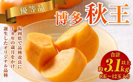 【優等品】福岡県産 博多 秋王 約3.1kg以上 (8玉～12玉入り)【2026年10月上旬～11月下旬発送】 ※北海道・沖縄・離島配送不可
