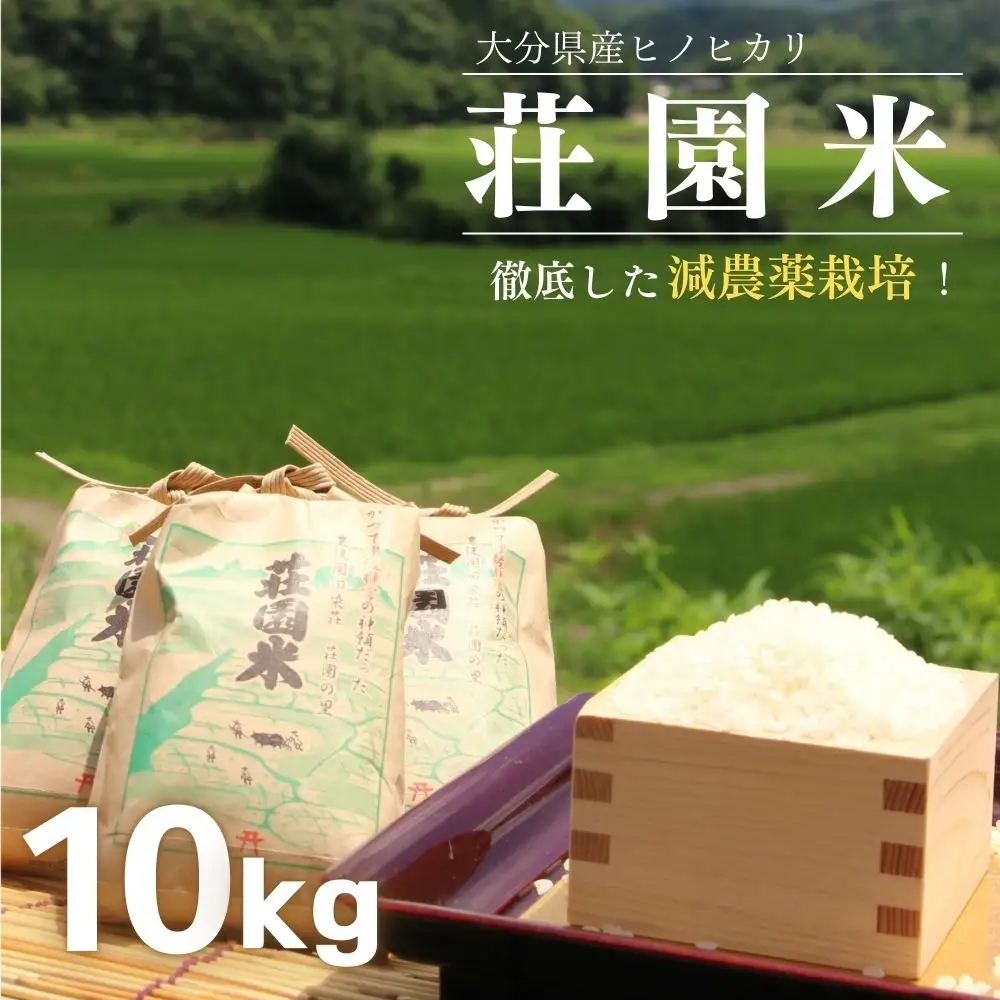 ヒノヒカリ 荘園米 10kg （精米済）ひのひかり